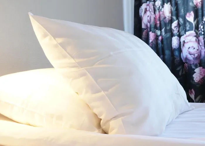 Le Mat B&B Goeteborg City